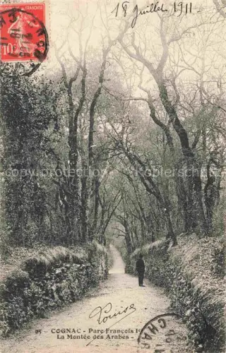 AK / Ansichtskarte COGNAC 16 Charente Parc Francois Ier Montée des Arabes