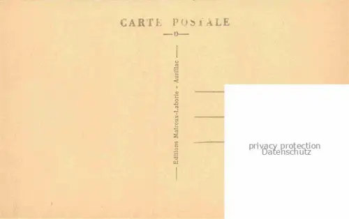 AK / Ansichtskarte Vic-sur-Cere AURILLAC 15 Cantal Hôtel des Bains et son parc