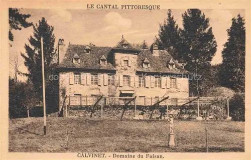 AK / Ansichtskarte Calvinet Aurillac 15 Cantal Domaine du Faisan