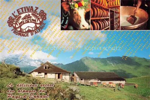 AK / Ansichtskarte Kaese Kaeserei Cheese Fromage Queso L Etivaz Alpes vaudoises Altitude Kuhstall Kuehe  