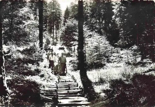 AK / Ansichtskarte Forstwirtschaft Forestry Bucherons Sylviculture Silvicultura-- Vosges 