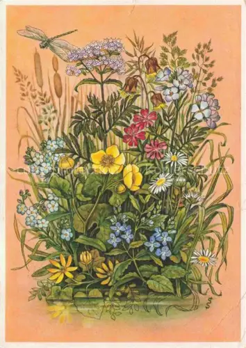 AK / Ansichtskarte LAGA Landesgartenschau Stuttgart Blumen am Wasser 