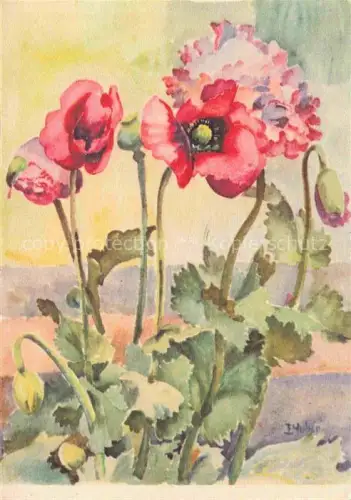 AK / Ansichtskarte HUBER E. Ringgenberg Kuenstlerkarte Mohn Aquarell Blumen 