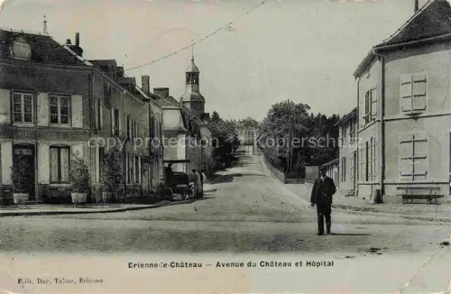 AK / Ansichtskarte Brienne-le-Chateau Bar-sur-Aube 10 Aube Avenue du Chateau et Hopital