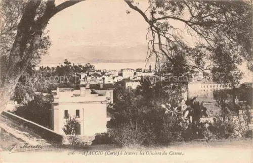 AK / Ansichtskarte AJACCIO 2A Corse-du-Sud À travers les Oliviers du Casone