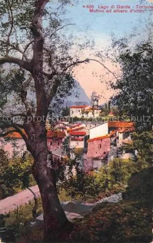 AK / Ansichtskarte Torbole Lago di Garda IT Motivo ed albero d'olivio