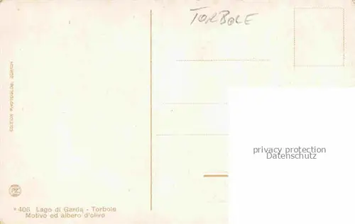 AK / Ansichtskarte Torbole Lago di Garda IT Motivo ed albero d'olivio