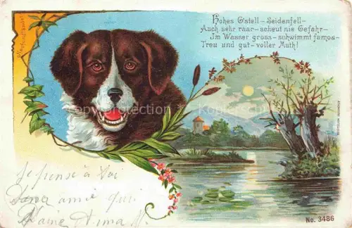 AK / Ansichtskarte HUNDE dogs chiens-- Neufundlaender Litho 