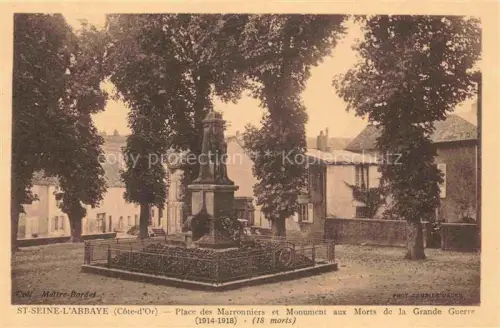 AK / Ansichtskarte St-Seine-l Abbaye DIJON 21 Cote-d Or Place des Marronniers et Monument aux Morts de la Grande Guere