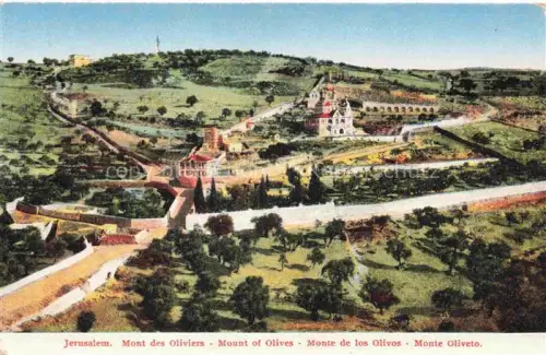 AK / Ansichtskarte Jerusalem  Yerushalayim Israel Mont des Oliviers  Panorama