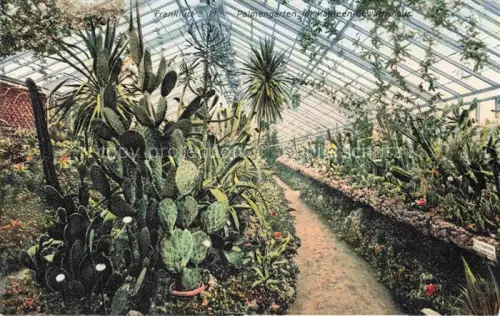 AK / Ansichtskarte FRANKFURT AM MAIN Palmengarten im Kakteen Gewaechshaus