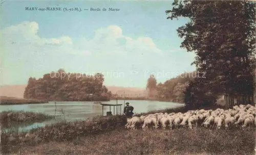 AK / Ansichtskarte Mary-sur-Marne 77 Seine-et-Marne Aux bords de la Marne des moutons