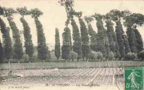 AK / Ansichtskarte Le Chesnay Versailles 78 Yvelines Les grands Arbres