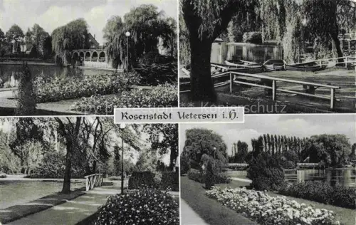 AK / Ansichtskarte Uetersen Pinneberg Schleswig-Holstein Im Rosarium 