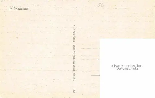 AK / Ansichtskarte Uetersen Pinneberg Schleswig-Holstein Im Rosarium 