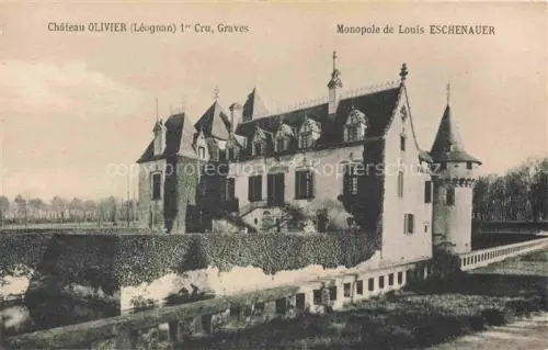 AK / Ansichtskarte Leognan Bordeaux 33 Gironde Monopole le Louis Eschenauer 