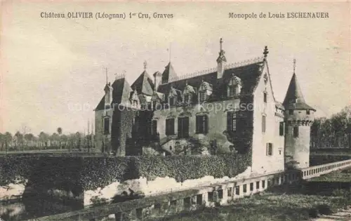 AK / Ansichtskarte Leognan Bordeaux 33 Gironde Monopole le Louis Eschenauer 