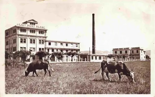 AK / Ansichtskarte Rumilly Annecy 74 Haute-Savoie Usine de Lait Mont Blanc des vaches