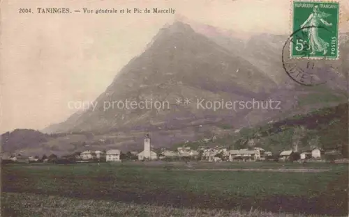 AK / Ansichtskarte Taninges Bonneville 74 Haute-Savoie Vue générale et le Pic de Marcelly
