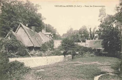 AK / Ansichtskarte Veules-les-Roses Dieppe 76 Seine-Maritime Dans les Cressonnières