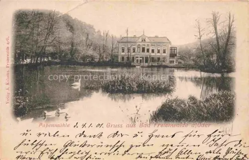 AK / Ansichtskarte Bad Freienwalde Oder Brandenburg Partie am Wasser Papenmuehle