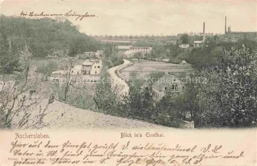 AK / Ansichtskarte Aschersleben Sachsen-Anhalt Blick ins Einethal