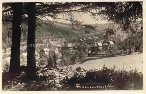 AK / Ansichtskarte Bienenmuehle Rechenberg Osterzgebirge Sachsen Ansicht vom Waldrand aus
