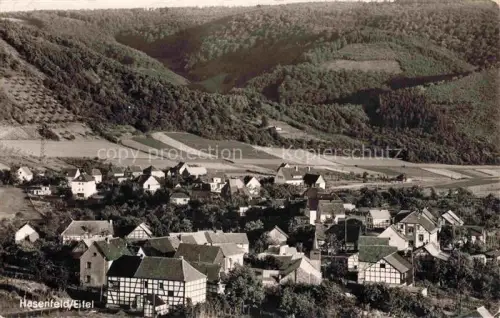 AK / Ansichtskarte Hasenfeld Heimbach Eifel NRW Teilansicht