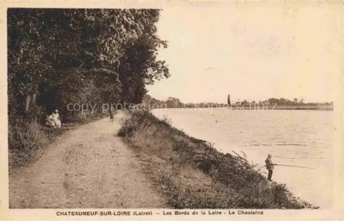 AK / Ansichtskarte Chateauneuf-sur-Loire Orleans 45 Loiret Les Bords de la Loire Le Chastaing
