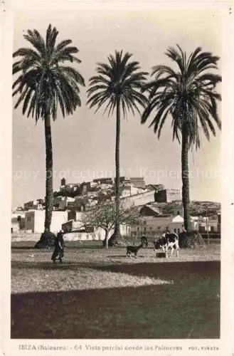 AK / Ansichtskarte IBIZA Islas Baleares ES las Palmeras Kuehe Ziege 