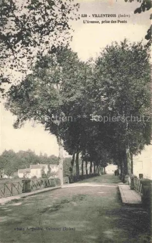 AK / Ansichtskarte Villentrois Chateauroux 36 Indre L'Avenue prise de Ponts