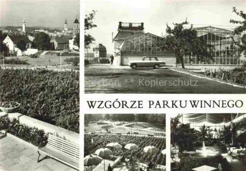 AK / Ansichtskarte ZIELONA GORA Gruenberg PL Wzgorze Parku Winnego