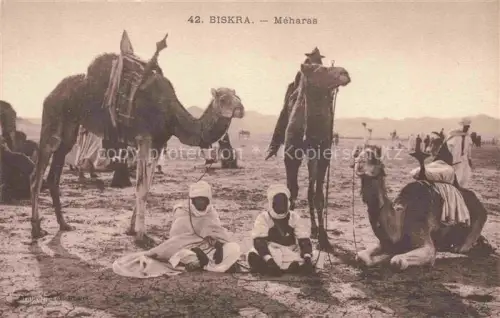 AK / Ansichtskarte Biskra Algerie Meharas Kamele