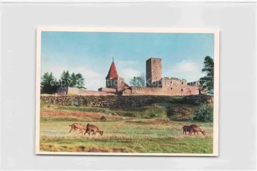 AK / Ansichtskarte Leuchtenberg Burg Weiden Oberpfalz Bayern Burgruine Leuchtenberg