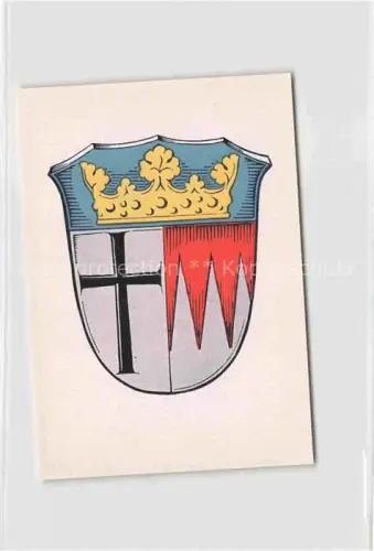 AK / Ansichtskarte Hammelburg Bad Kissingen Bayern Wappen des Landkreises Hammelburg