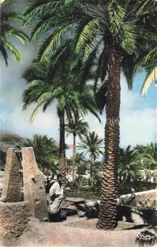 AK / Ansichtskarte Ghardaia-M Zab Algeria Oasis Palme 