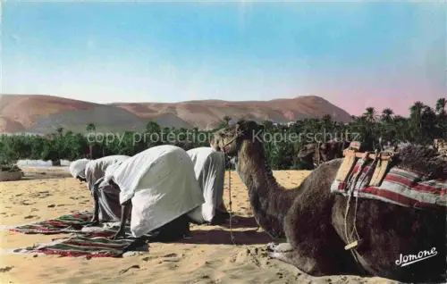 AK / Ansichtskarte Bou-Saada Algerie L'Heure de Priere Gebet Kamel 