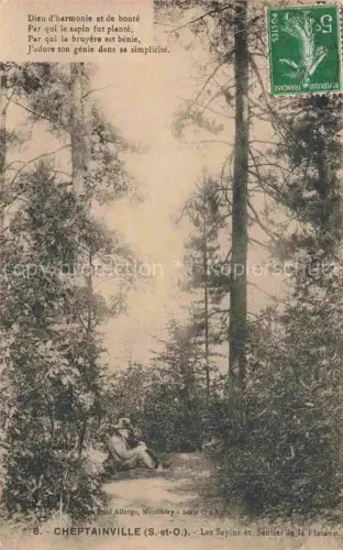 AK / Ansichtskarte Cheptainville Palaiseau 91 Essonne Les Sapins et Sentier de la Platane