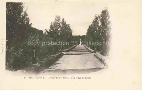 AK / Ansichtskarte Tinchebray Argentan 61 Orne College Sainte Marie Une Allee du Jardin