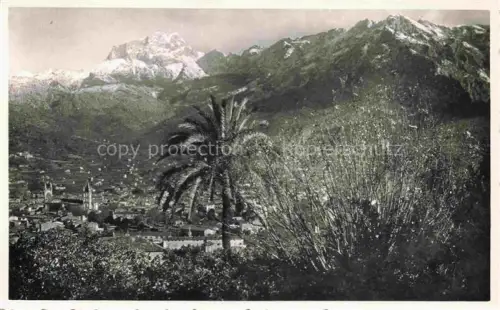 AK / Ansichtskarte SOLLER Mallorca ES Puig Mayor Palme