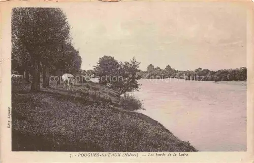 AK / Ansichtskarte Pougues-les-Eaux NEVERS 58 Nievre Les bords de la Loire