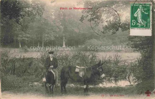 AK / Ansichtskarte Foret de Montmorency 95 Val-d Oise Une promenade avec des ânes