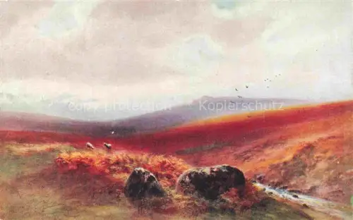 AK / Ansichtskarte Exmoor UK Panorama