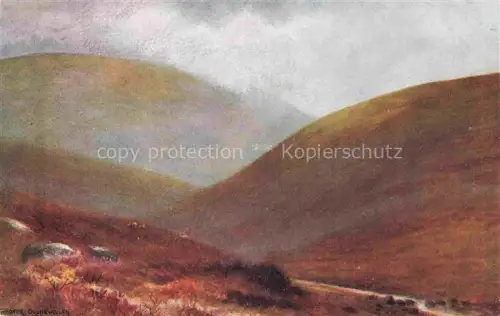 AK / Ansichtskarte Exmoor UK Doone Valley