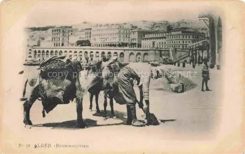 AK / Ansichtskarte ALGER  Algerie Bourricotier
