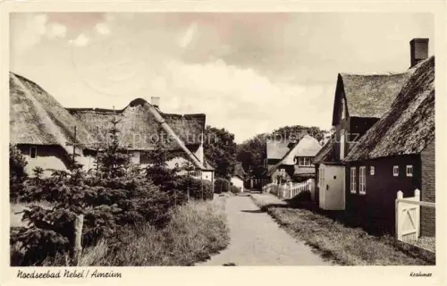 AK / Ansichtskarte Nebel Amrum Dorfpartie