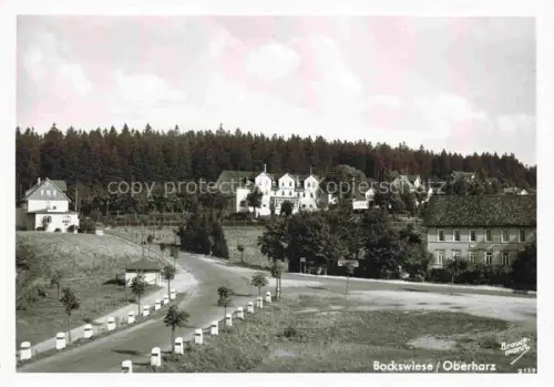 AK / Ansichtskarte Bockswiese-Hahnenklee Harz Teilansicht