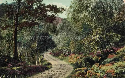 AK / Ansichtskarte Trossachs Stirling Scotland UK In the Trossachs wehre twines the Path