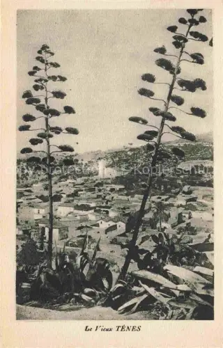 AK / Ansichtskarte Tenes Algerie Les Vieux Tenes