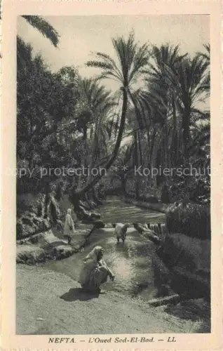 AK / Ansichtskarte Nefta Tunesie L'Oued Sed El Bad
